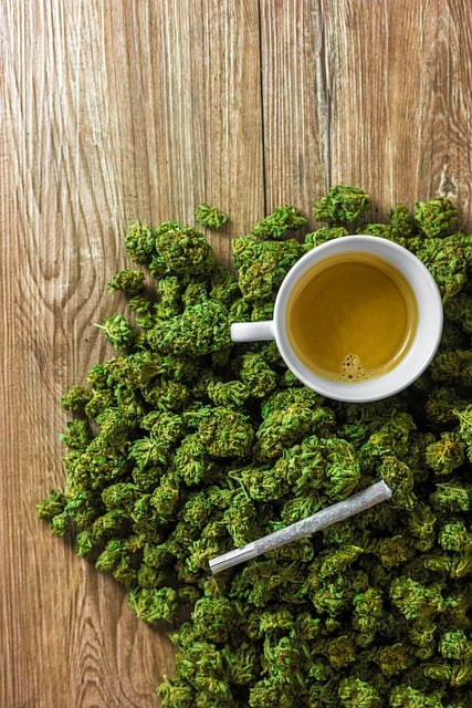 Discover the Convenience of Raw Tray - Your Smoking Solution