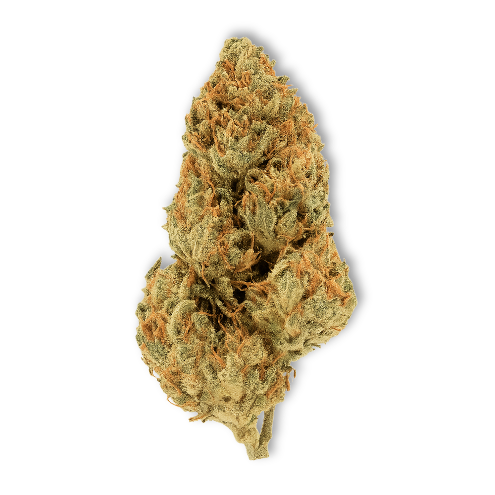 Amnesia Kush CBD Flower 19.70%