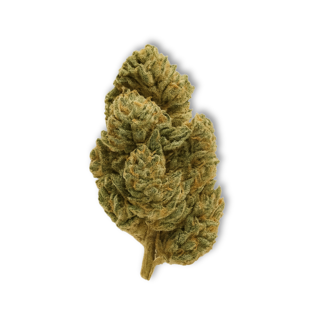 White Widow CBD Flower  23.86%