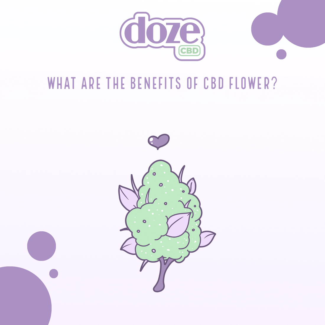 What Are the Benefits of CBD Flower?