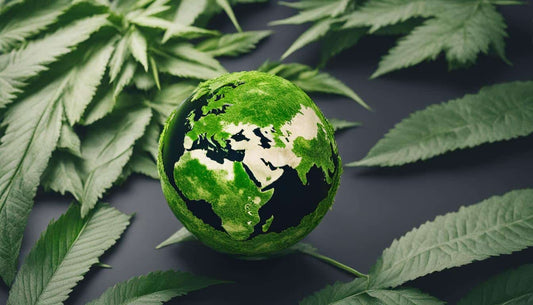 The Legal Status of Cannabidiol Worldwide