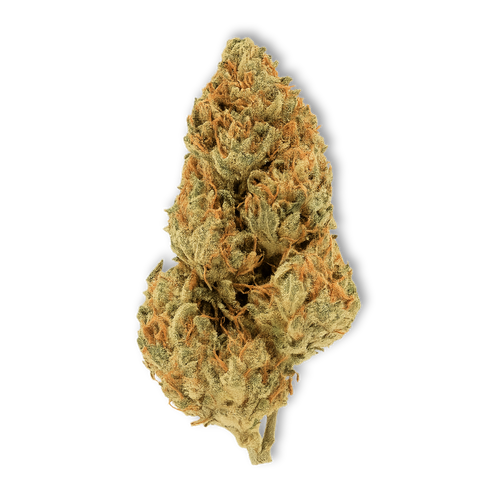 Amnesia Kush CBD Flower 19.70%