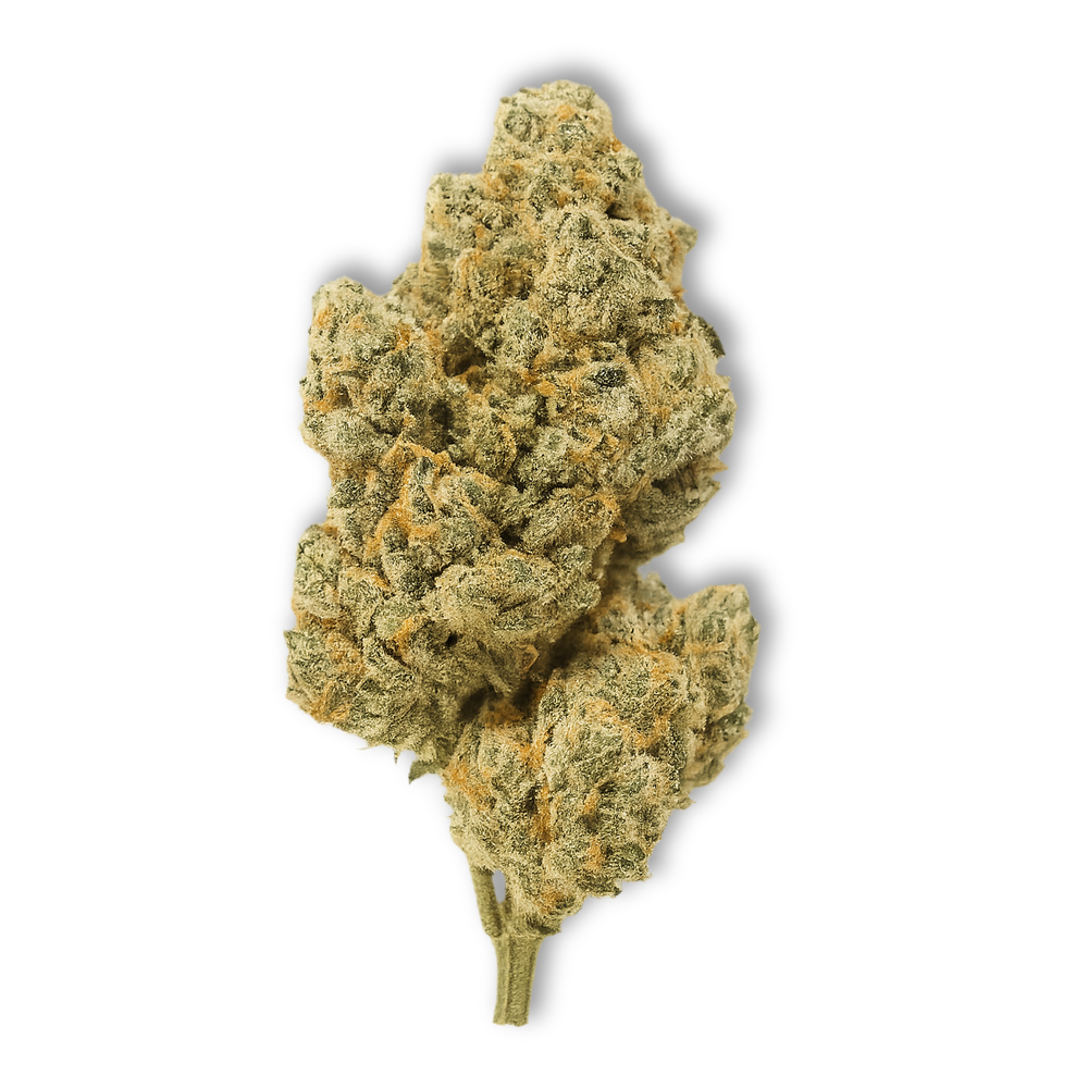Banana Punch CBD Flower 21.02%