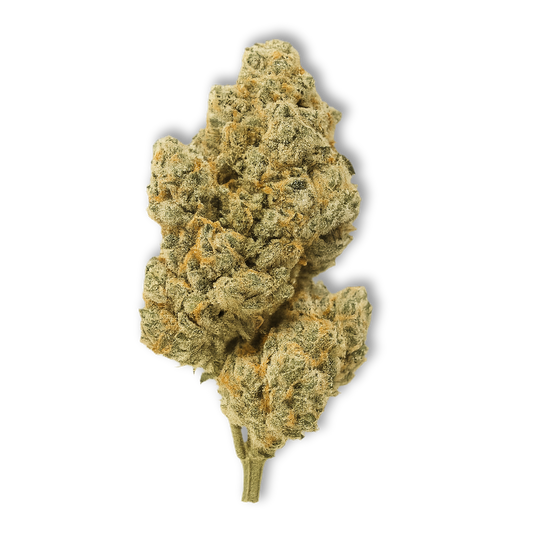 Banana Punch CBD Flower 21.02%