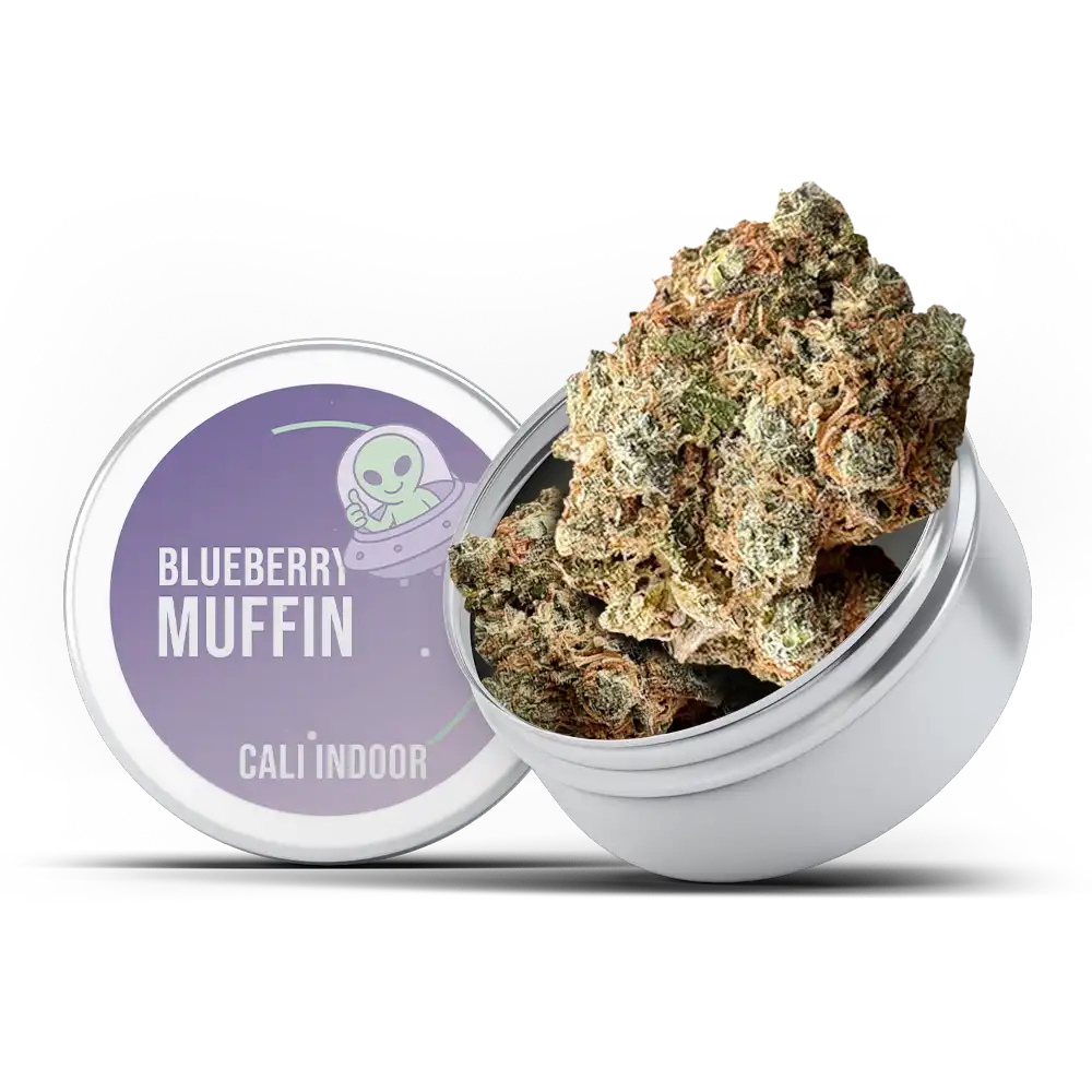 Cali Blueberry Muffin - Indoor CBD 21,7%