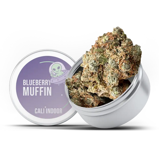 Cali Blueberry Muffin - Indoor CBD 21,7%