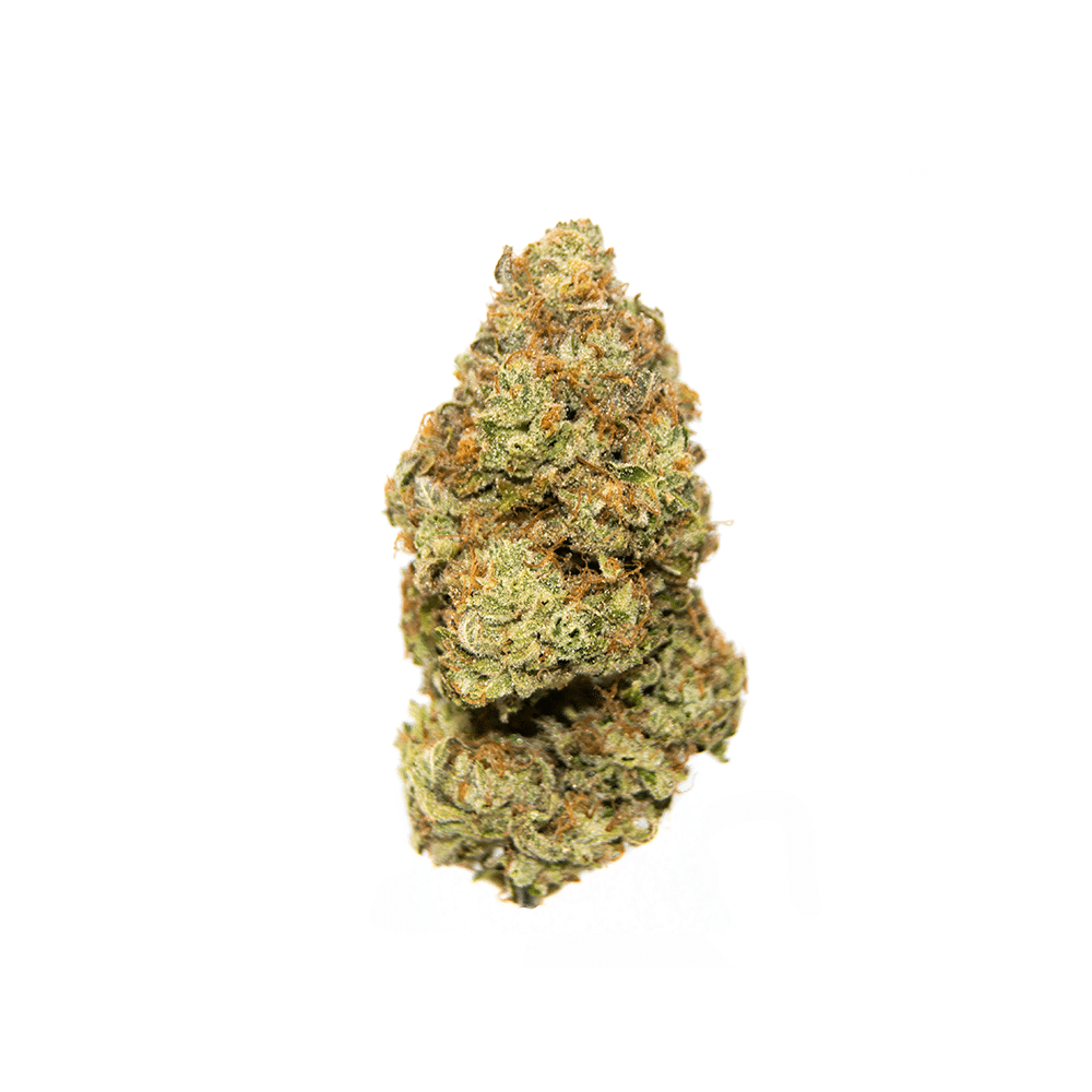 Mango Dream CBD Flower 19.97%