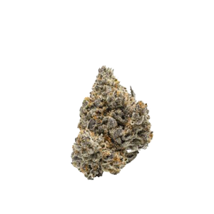 RUNTZ NANO9 Flower ≈41.15%