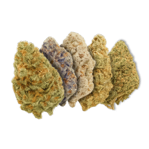 CBD 5 Flowers Bundle